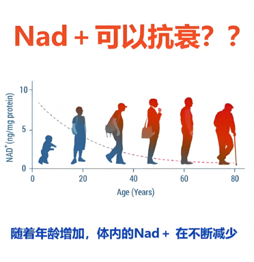 三井NMN：逆转衰老，提升细胞能量