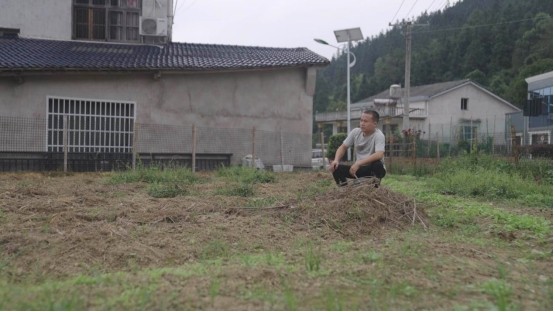 平江与茂名的振兴之路：从输血到造血的产业革命