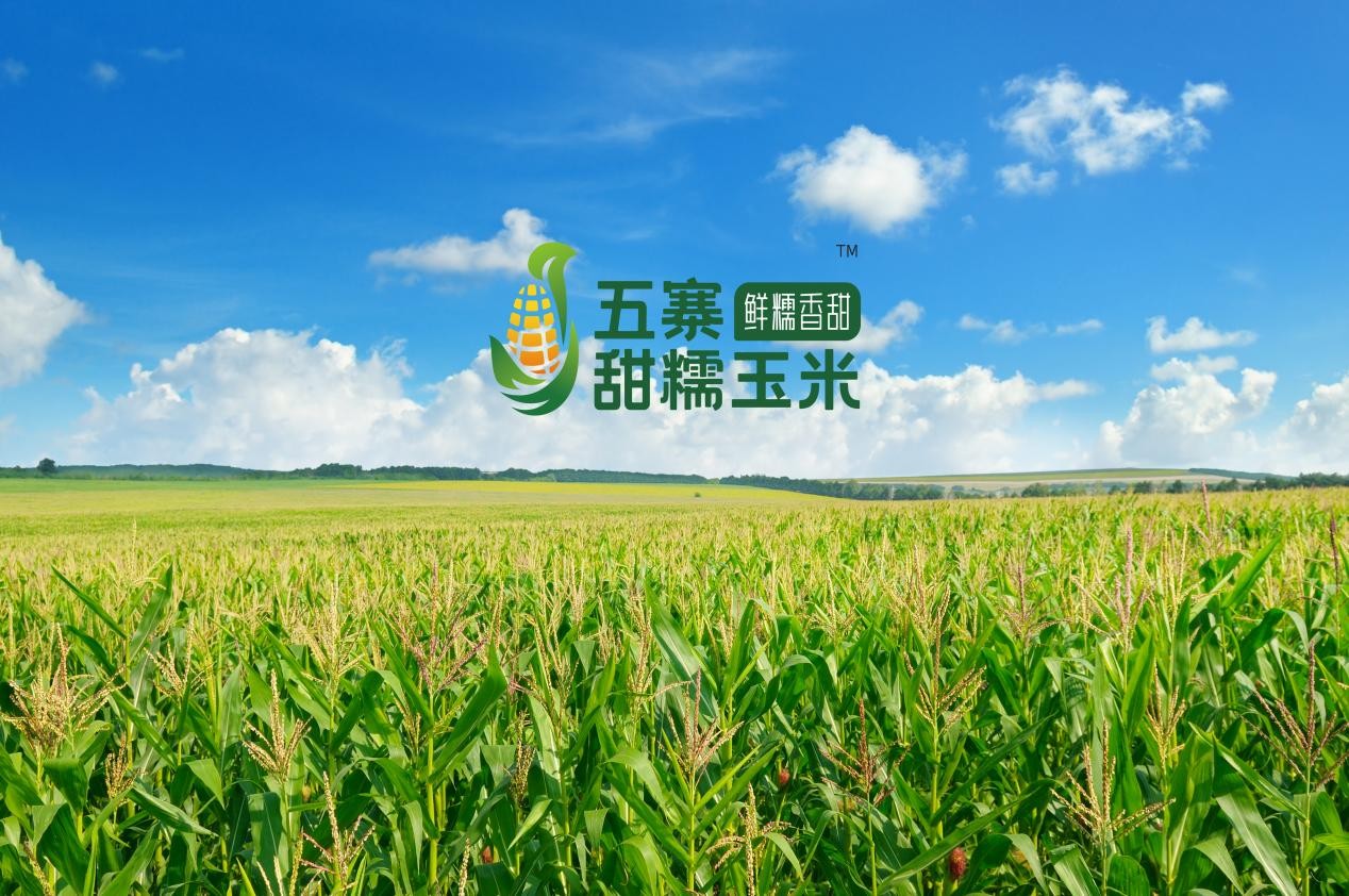 五寨甜糯玉米：品牌赋能乡村振兴的典范
