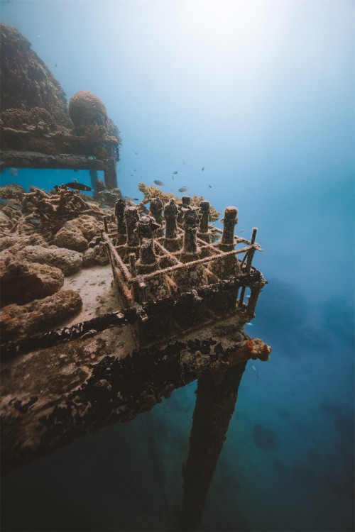 马尔代夫伦格里岛康莱德酒店：海底陈酿香槟与沉浸式品酩美学